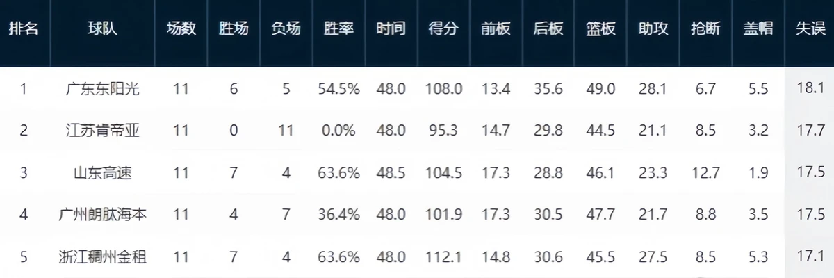 篮球训练自我总结200字_0